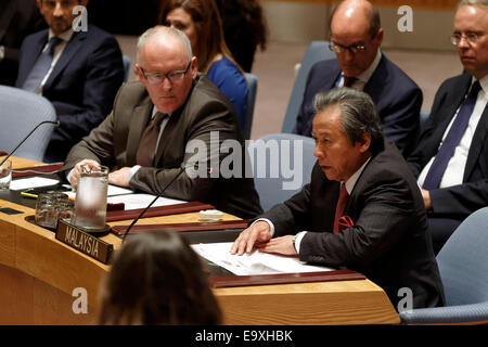 El Ministro de Relaciones Exteriores de Malasia, Anifah Aman (derecha) aborda el Consejo de Seguridad de la ONU durante la reunión sobre el derribo de Malasia Foto de stock
