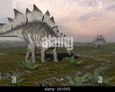 Stegosaurus hambrientos - 3D Render Foto de stock