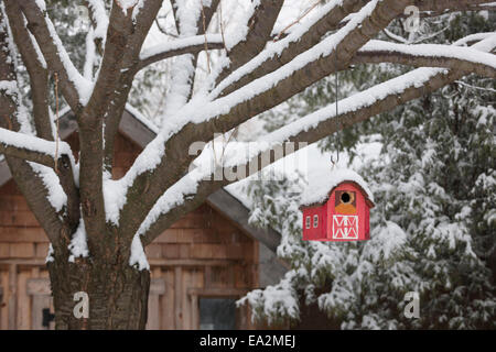 Casita para aves granero rojo cubierto de nieve colgando de árbol fuera cerca del cobertizo en el patio Foto de stock