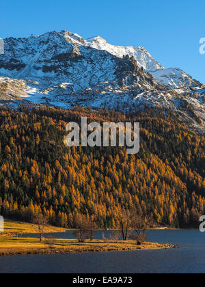 Lago en los Alpes suizos - Hermosos paisajes en los Alpes suizos en un día de otoño. Foto de stock