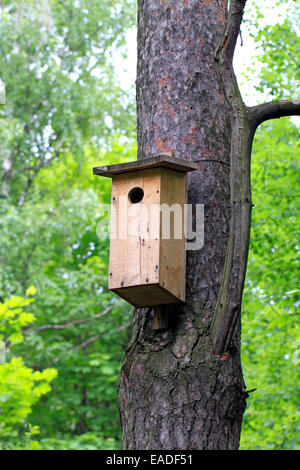 Casita para aves colgando de un árbol sobre un fondo de árboles verdes Foto de stock