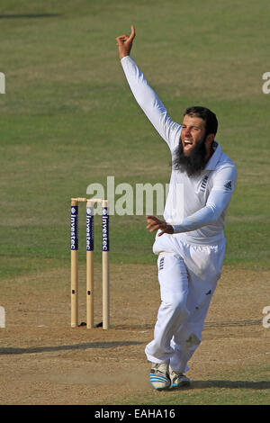 Cricket - Moeen Ali de Inglaterra celebra teniendo un wicket Foto de stock