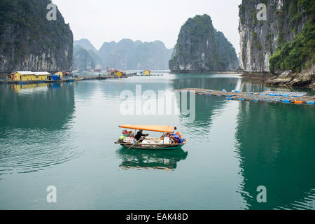 Mañana Vistas de la bahía de Ha Long, Vietnam Foto de stock