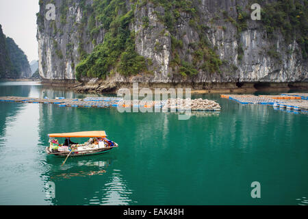 Mañana Vistas de la bahía de Ha Long, Vietnam Foto de stock
