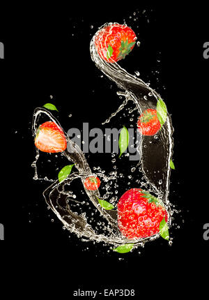 Las fresas en agua splash, aislado sobre fondo negro