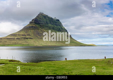 Oeste de Islandia, la Península de Snaefell, Mt Kirkjufell (463m) -El azúcar Top