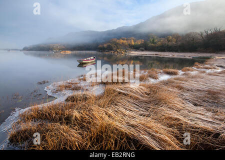 La helada mañana de invierno en la costa del Lago Superior, el Parque Nacional de Killarney, condado de Kerry, Irlanda.