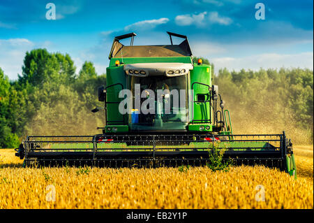 Cosecha de grano de la cosechadora, Grevenbroich, Renania del Norte-Westfalia, Alemania Foto de stock