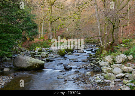 Aira Beck, cerca de Ullswater, Lake District National Park, Cumbria, Inglaterra Foto de stock