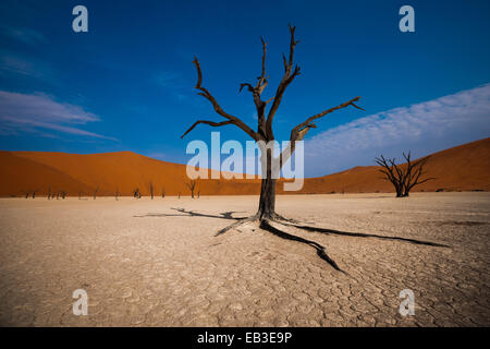 Namibia, Región Hardap Namib Naukluft, Parque Nacional, Sossusvlei, Deadvlei