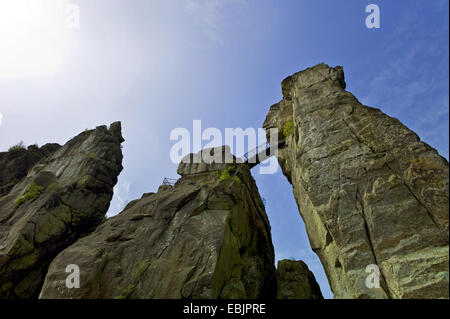 Externsteine, pilares de roca, en Alemania, en Renania del Norte-Westfalia, bosque de Teutoburgo Foto de stock