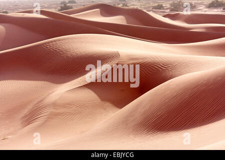 Dunas de arena en el Sahara, Marruecos, Souss-Massa-DaraÔ, Erg Chegaga Foto de stock
