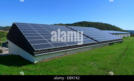 Paneles solares en el techo de un establo, Alemania Foto de stock