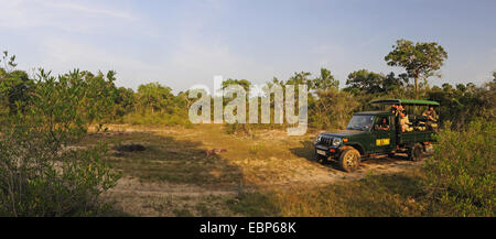 Safari Jeep con fotógrafos de la vida silvestre en el desierto, Sri Lanka, el Parque Nacional de Wilpattu