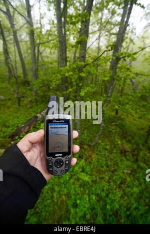 La celebración de un dispositivo GPS en un bosque nebuloso, Francia, Córcega Foto de stock