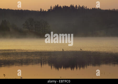 Cielo rojo y la niebla de la mañana sobre el almacenamiento lago Poehl, Alemania, Sajonia, Vogtland Foto de stock