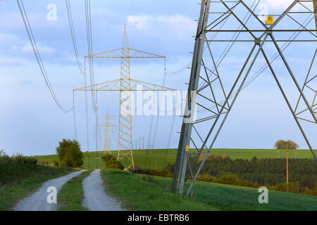 Ruta de campo y postes de electricidad, Alemania, Baviera, el Spessart