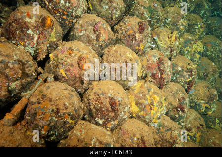 Bombas dentro de las bodegas del pecio Umbría hundido en Wingate de coral en el Mar Rojo, frente a la costa de Sudán