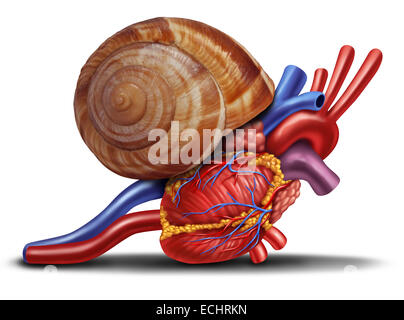 Concepto de frecuencia cardíaca lenta como un caracol en la anatomía humana desde un malsano cuerpo como un símbolo de la atención médica de los problemas cardiovasculares con el interior del órgano. Foto de stock