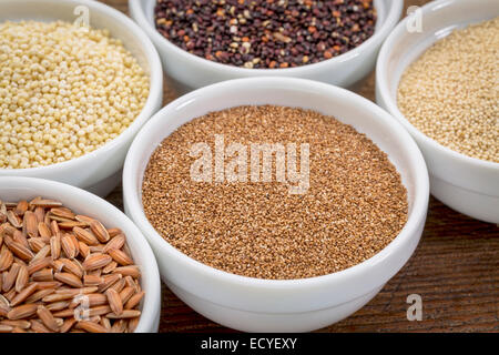 Teff y otros cereales sin gluten (el amaranto, el mijo, la quinoa, arroz integral) en pequeños cuencos de cerámica Foto de stock