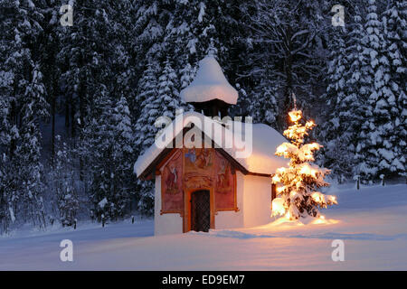 Beleuchteter Christbaum vor einer Kapelle im Winter, Bayern, Oberbayern, Alemania, Europa iluminado árbol de Navidad en la parte frontal Foto de stock