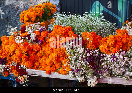 Flores para la venta durante el DÍA DE LOS MUERTOS - SAN MIGUEL DE ALLENDE,  MÉXICO Fotografía de stock - Alamy