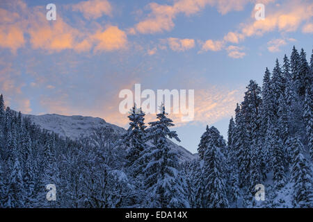 La bei Schneelandschaft Elmau, Oberbayern, Bayern, Deutschland, Europa Foto de stock