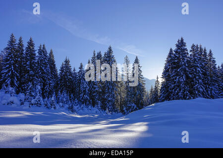 La bei Schneelandschaft Elmau, Oberbayern, Bayern, Deutschland, Europa Foto de stock