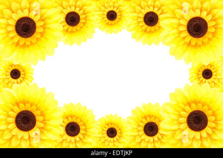 Marco de girasol Fotografía de stock - Alamy