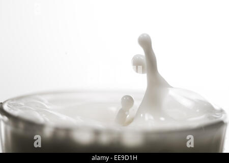 Verter la leche en un vaso aislado contra el fondo blanco.