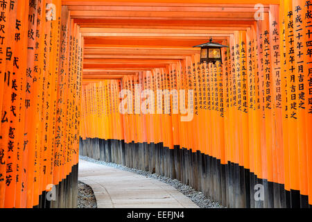 Puertas torii del santuario Fushimi Inari en Kioto, Japón. Foto de stock
