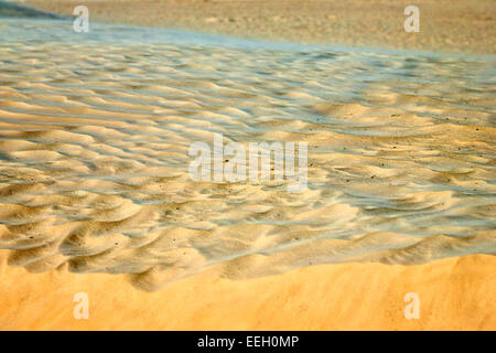 Arena dorada, viento que sopla sobre el borde de una duna de arena en el desierto del Sáhara Foto de stock