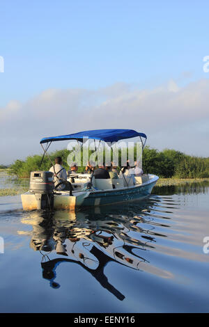 Los turistas disfrutando de una mañana temprana viaje en bote por la laguna en el santuario de vida silvestre Crooked Tree, Belice Foto de stock