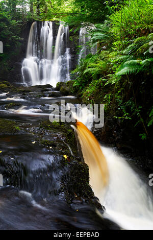 Ess-na-crub cascada en glenariff, Condado de Antrim de Irlanda del Norte