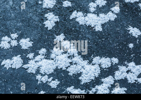 Intrincado frost flores que crecen en condiciones extremadamente frío encima de una capa de hielo en el stream Mecosta County, Michigan, EE.UU. Foto de stock