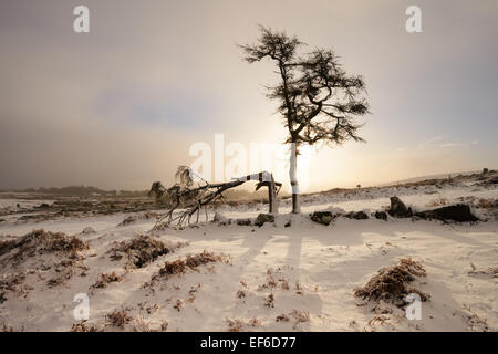 Un invierno atmosférica ver cerca de Haytor vale Foto de stock