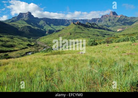 El Anfiteatro y el río Tugela, montañas Drakensberg, el Parque Nacional Royal Natal, Sudáfrica Foto de stock