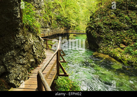 Río Radovna Vintgar Gorge, Gorje, Bled, Eslovenia, Europa Foto de stock