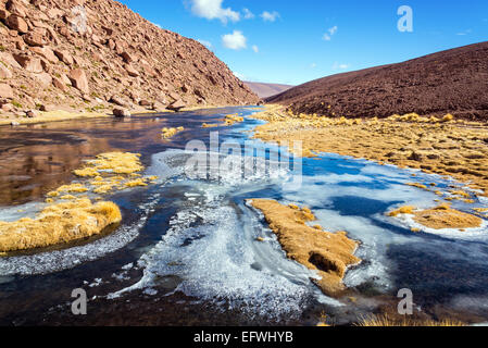Arroyo congelado en el altiplano del norte de Chile, cerca de San Pedro de Atacama Foto de stock