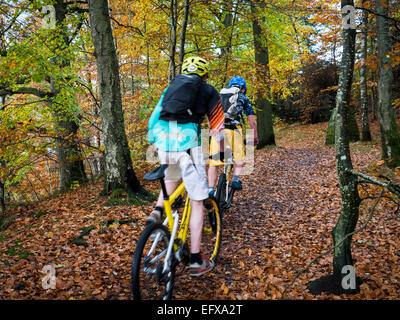 Los ciclistas de montaña, bosque de hayas, cerca de Pitlochry, Escocia Foto de stock