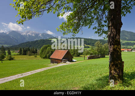 Obtenido cerca de Windischgarsten, Totes Gebirge, Upper Austria, Austria Foto de stock