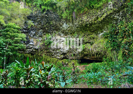 Fern Grotto en Wailua River State Park, Kauai, Hawaii, EE.UU.