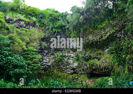 Fern Grotto en Wailua River State Park, Kauai, Hawaii, EE.UU.
