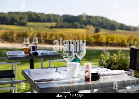 Francia, Gironde, Saint Laurent des Combes, restaurante en la terraza del castillo de Candale Foto de stock