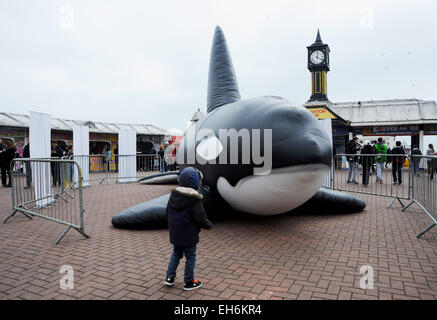 Brighton, Reino Unido. 8 de marzo de 2015. Una ballena inflable provoca interés por Brighton Pier, que hoy es parte de este años WhaleFest y está tomando lugar en Brighton esta semana y es el más grande del mundo, el Festival de ballenas y delfines Credit: Simon Dack/Alamy Live News Foto de stock
