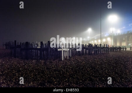 Brighton, East Sussex, Reino Unido. 8 de marzo de 2015. Memorial cruza por la noche en la niebla en la playa de Brighton plantados para conmemorar a todos los cetáceos que murieron en cautiverio. Crédito de la foto: Julia Claxton/Alamy Live News Foto de stock