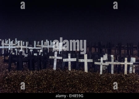 Brighton, East Sussex, Reino Unido. 8 de marzo de 2015. Memorial cruza por la noche en la niebla en la playa de Brighton plantados para conmemorar a todos los cetáceos que murieron en cautiverio. Crédito de la foto: Julia Claxton/Alamy Live News Foto de stock