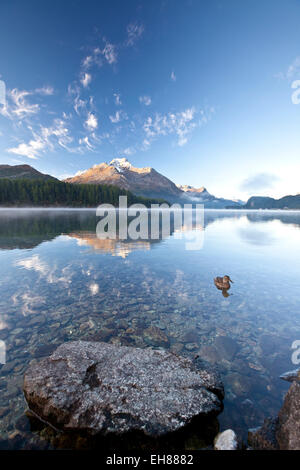 Piz da la Margna reflejando en el lago de Sils por Saint Moritz de Engadine, Graubunden, Suiza, Europa Foto de stock