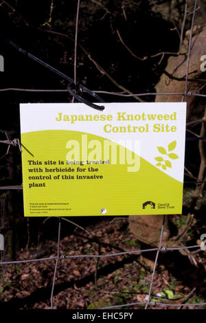 Knotweed japonés sitio Control señal de advertencia, REINO UNIDO Foto de stock