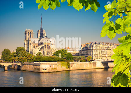 La catedral de Notre Dame de París Foto de stock
